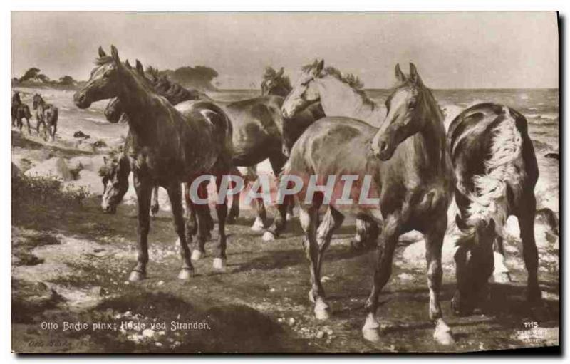 Old Postcard Equestrian Riding Horses Otto Bache