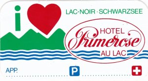 Switzerland Lac Noir Schwarzsee Hotel Primerose Vintage Luggage Label sk3591