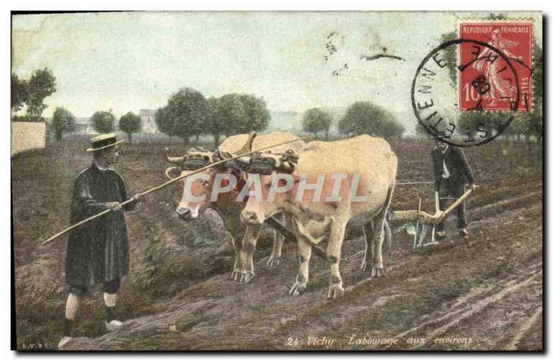 Old Postcard Folklore Vichy Oxen Plowing around