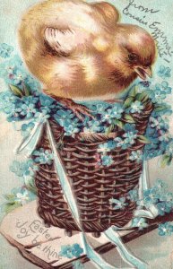 Easter Joy Be Thine Chick Petals Basket Holiday Eastertide Vintage Postcard 1907