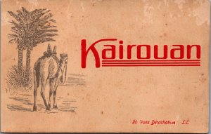 Tunisia Kairouan Vintage Postcard C196