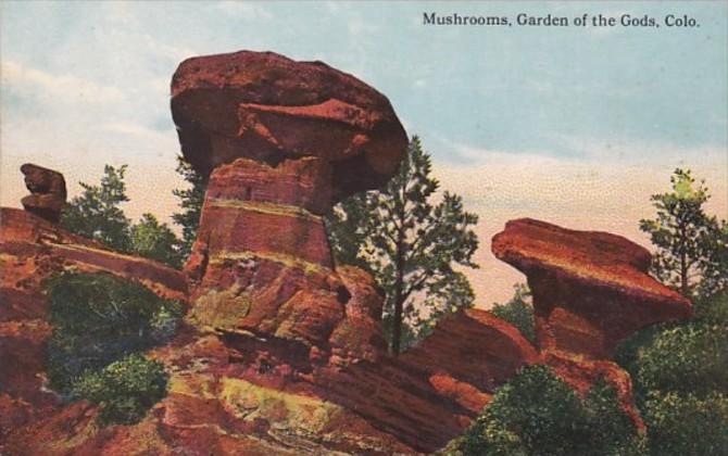 Colorado Mushrooms In Garden Of The Gods