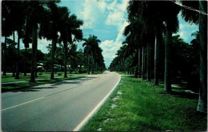 Florida Fort Myers McGregor Boulevard 1968