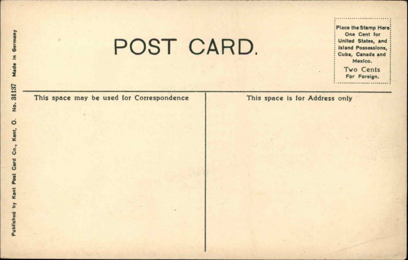 Kent Ohio OH Carnegie Public Library c1910 Vintage Postcard