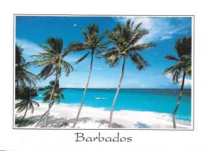 Barbados. Beautiful photo of a beautiful place. 2007.