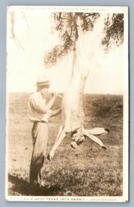 SKINNING WEST TEXAS JACK RABBIT EXAGGERATED ANTIQUE REAL PHOTO POSTCARD RPPC