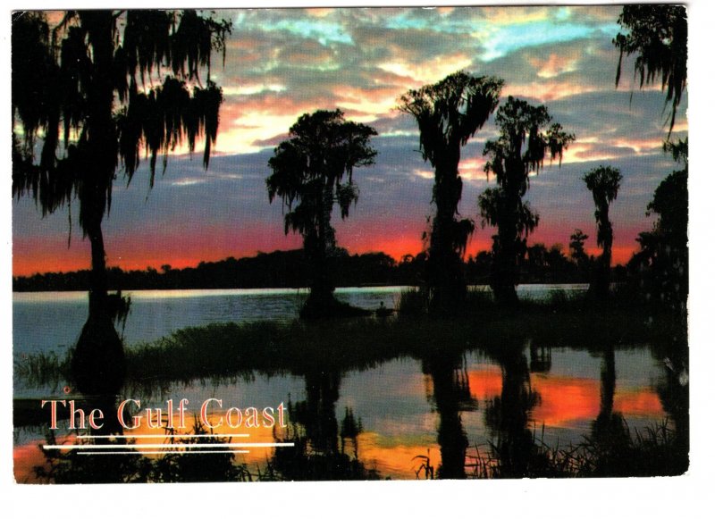 Spanish Moss on Cypress Trees, Sunset on the Gulf Coast, Mississippi