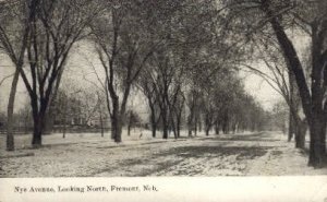 Nye Avenue, Looking North - Fremont, Nebraska NE  