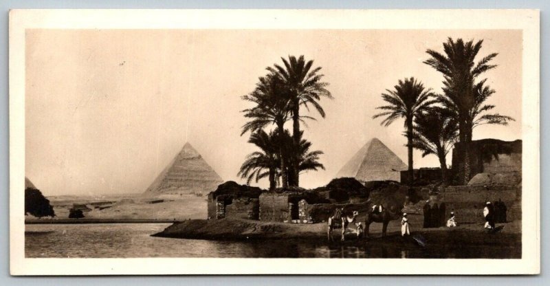 RPPC  Pyramids of Giza Cairo Egypt  Real Photo  Postcard   6 x 3