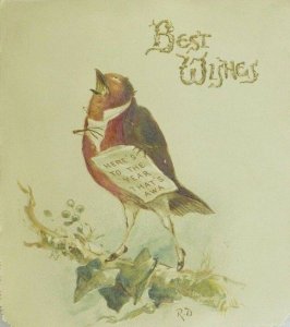 1870's Anthropomorphic Bird, Robin Singing, Embossed Victorian Trade Card F8