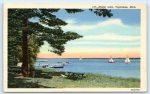 TOPINABEE, Michigan MI ~ Sailboats MULLET LAKE Cheboygan County 1950  Postcard