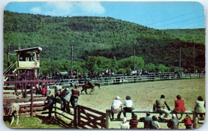 Postcard - Rodeo Spectacle at a Dude Ranch, Lake George, New York, USA