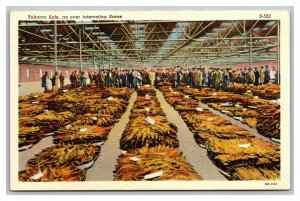 Vintage 1940's Postcard Buyers at a Tobacco Sale - Warehouse Piles of Tobacco