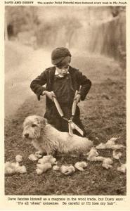 \Dave and Dusty, shearing Dog\ Tuck Postcard, no number