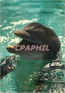 Modern Postcard Dauphin Every year nearly 200,000 dolphins are killed by Tuna...