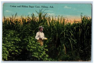 c1910 Cotton and Ribbon Sugar Cane Helena Arkansas AR Antique Postcard