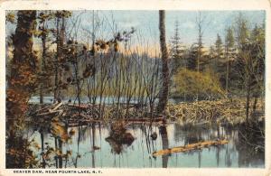 Fourth Lake New York Beaver Dam Waterfront Antique Postcard K88791