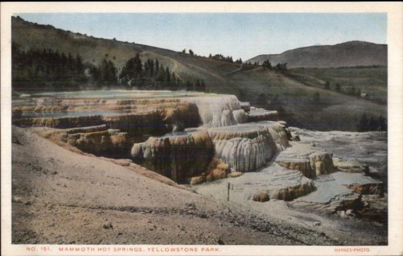 Yellowstone - MAMMOTH HOT SPRINGS Haynes #151 c1915 Postcard EXC COND