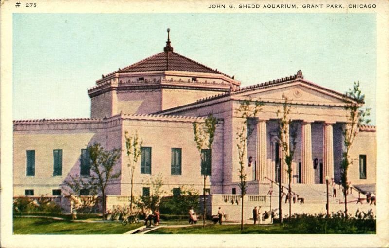 CHICAGO IL, Grant Park, Shedd Aquarium, c1930s Color Postcard IL694167