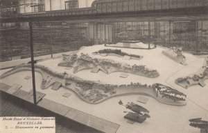 Bruxelles Prehistoric Dinosaurs As Maps WW1 Antique Belgium Postcard