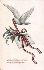 US2775 Liebes Taubchen eile hin, wo Ich in Gedanken Bin, Bird Mail Postcard