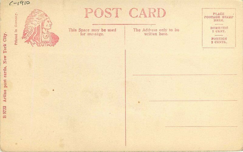 Bushkill River Falls Dingman's Ferry Pennsylvania C-1910 Postcard 20-10670