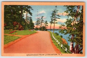 1953 GREETINGS FROM LIVINGSTON NEW JERSEY NJ VINTAGE LINEN POSTCARD