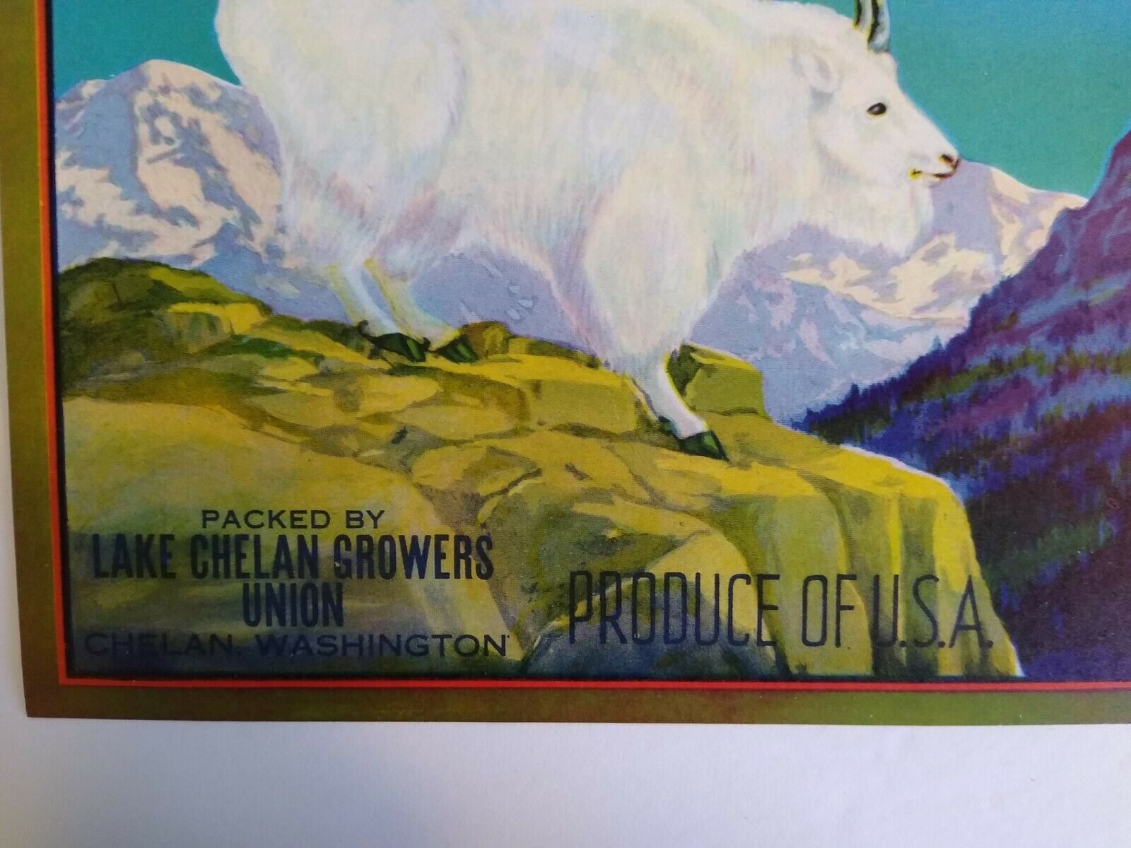 Mountain Goat Brand Chelan Apple Fruit Crate Label Original 1940s