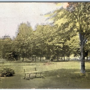 c1910s Albert Lea, MN Park Scene Postcard Suhling Co Pub Rare View Bench A116