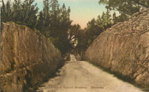 Hand Colored Albertype Postcard A Typical Road Way Bermuda