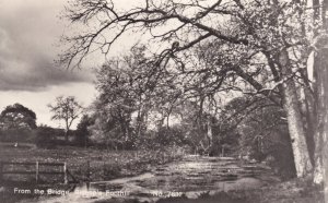 Bishops Fonthill Bridge Wiltshire Puddles Real Photo Vintage Postcard