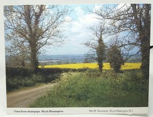 Country Lane Wyck Rissington Gloucestershire Vintage Postcard 1980s