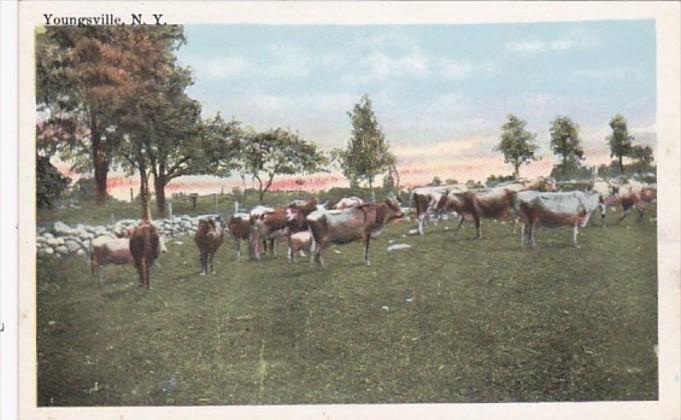 New York Scene Near Youngsville 1948