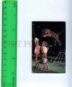 259326 USSR Circus trained tigers Pocket CALENDAR 1989 year