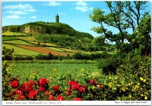 M-86504 Scrabo Tower Northern Ireland