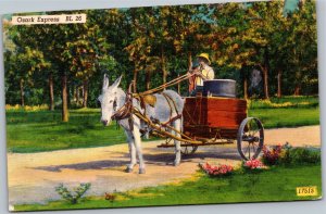 Postcard MO Ozark Express donkey mule cart