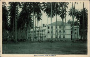 Singapore The Cocoanut Palm - Hotel? c1910 Postcard