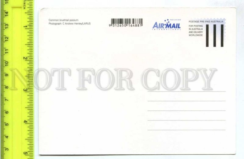 420877 AUSTRALIA possum Pre-paid Postal Stationery postcard