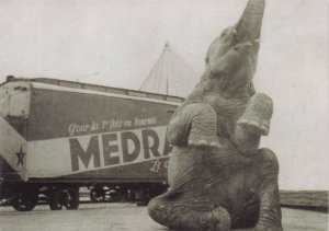 Cirque Medrano Performing Elephant Advertising Transport Circus Postcard