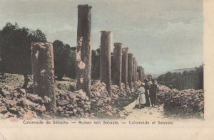Colonnade de Sebaste Israel Antique Italian Colour Postcard