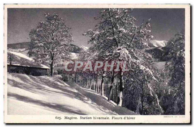 Old Postcard Megeve winter resort Winter Flowers