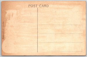 Gibraltar c1910 Postcard South View Of The Town