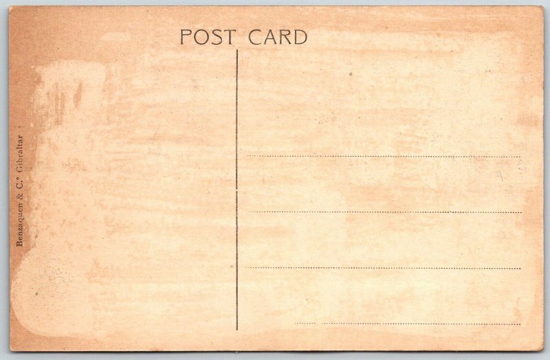 Gibraltar c1910 Postcard South View Of The Town