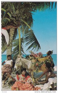 Picking Tropical Coconuts, Donkey, Natives From the Island, PU-1966