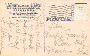 Orange Blossom Groves Fruit Stand Store Largo Florida 1961 postcard
