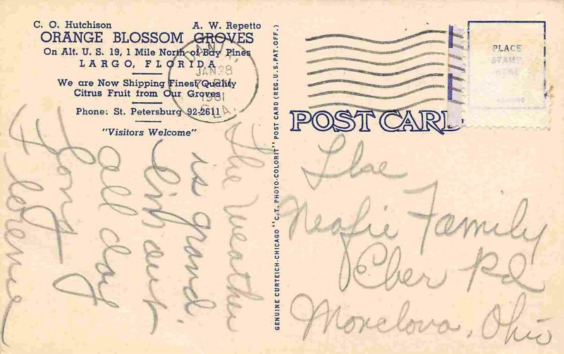 Orange Blossom Groves Fruit Stand Store Largo Florida 1961 postcard