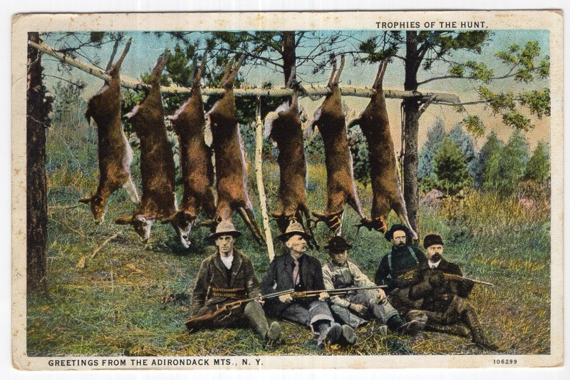 Trophies Of The Hunt, Greetings From The Adirondack Mts., N.Y.