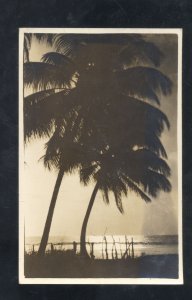 RPPC NEW ORLEANS LOUISIANA LARGE PALM TREES VINTAGE REAL PHOTO POSTCARD