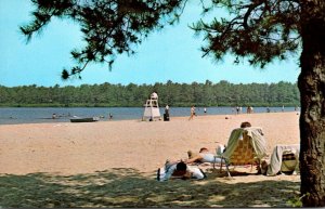 New Jersey Burlington County Bass River State Forest Beach At Lake Absegami