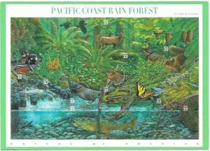 US Pacific Coast Rain Forest. 17 Jumbo 5X7 Postcards. #3378